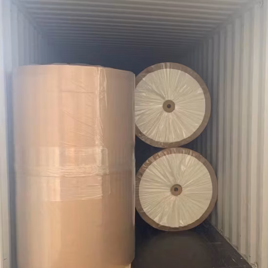 Excellent Tensile Strength 60GSM Fiberglass Surface Veil for Pipe Wraping